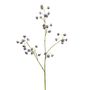 Botanica Astrantia Spray - Lilac - 84cm