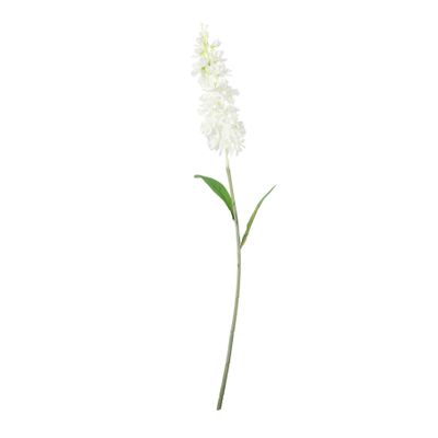Garden Stock Flower- White