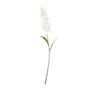 Garden Stock Flower- White