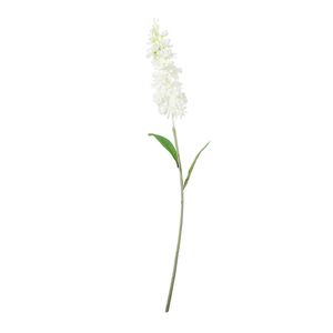 Garden Stock Flower- White