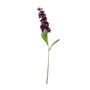 Garden Stock Flower - Purple