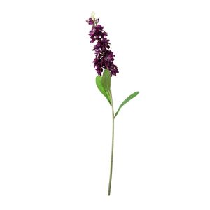 Garden Stock Flower - Purple
