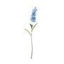 Garden Stock Flower - Blue