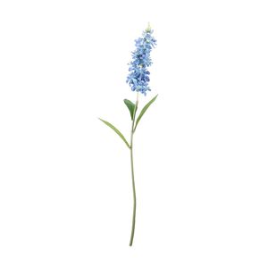 Garden Stock Flower - Blue