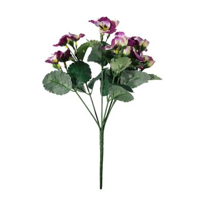 Pansy Plant - Purple