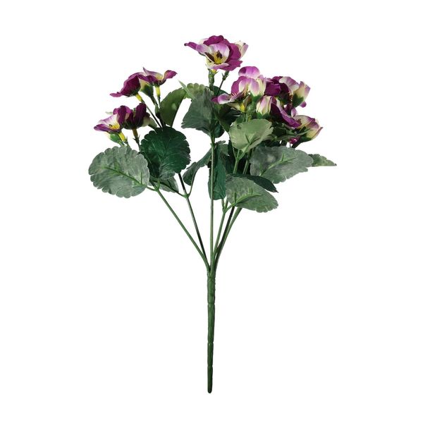 Pansy Plant - Purple