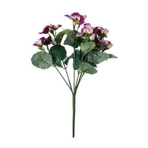 Pansy Plant - Purple