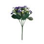 Pansy Plant - Blue/White