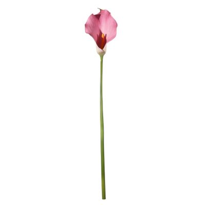 Botanica Calla Lily Large - Pink - 82cm