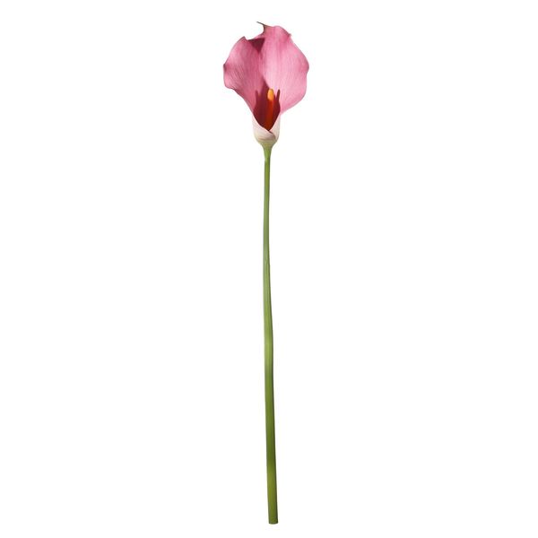 Botanica Calla Lily Large - Pink - 82cm