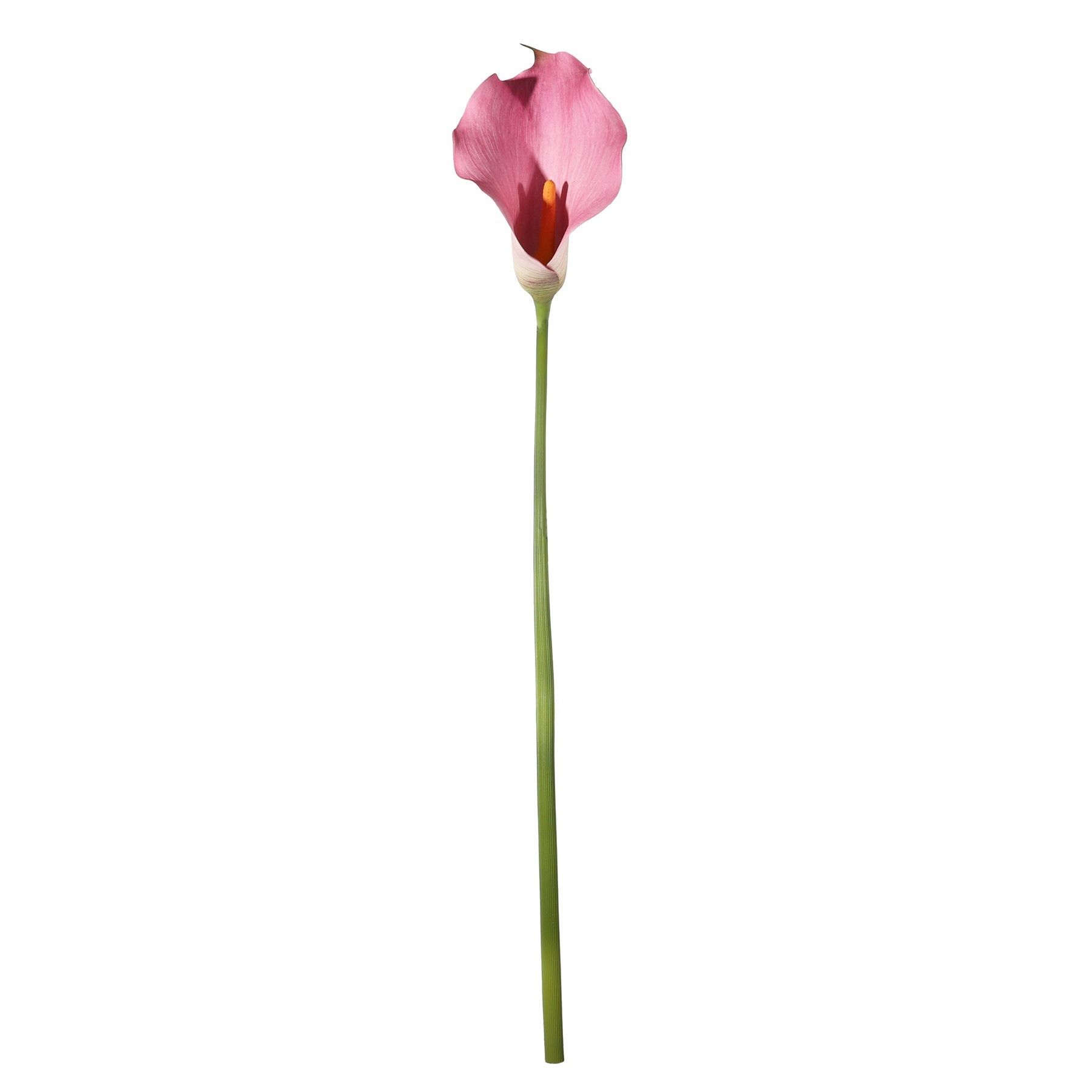 Botanica Calla Lily Large - Pink - 82cm