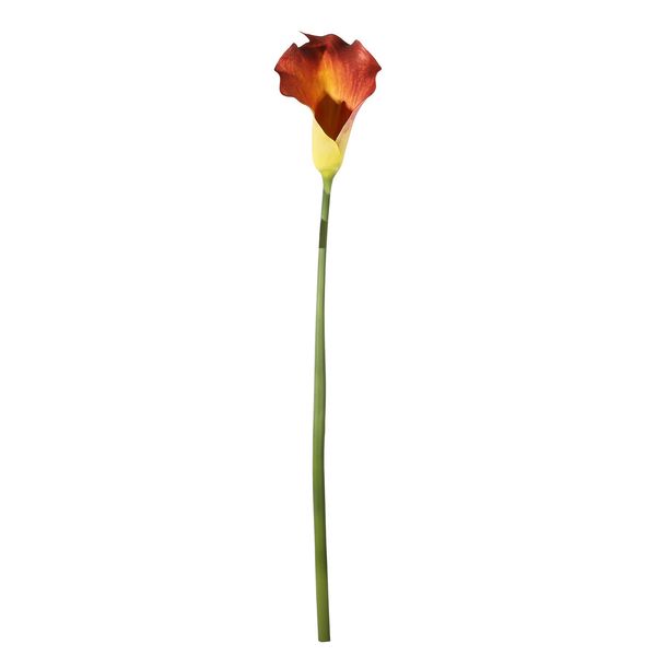 Botanica Calla Lily Large - Mango - 82cm