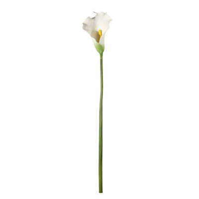 Botanica Calla Lily Large - White - 82cm