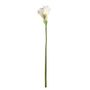 Botanica Calla Lily Large - White - 82cm