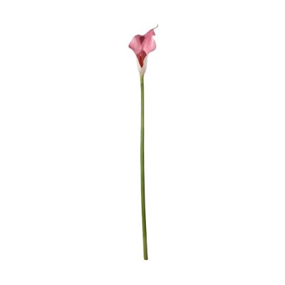 Botanica Calla Lily Small - Pink - 60cm