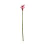 Botanica Calla Lily Small - Pink - 60cm