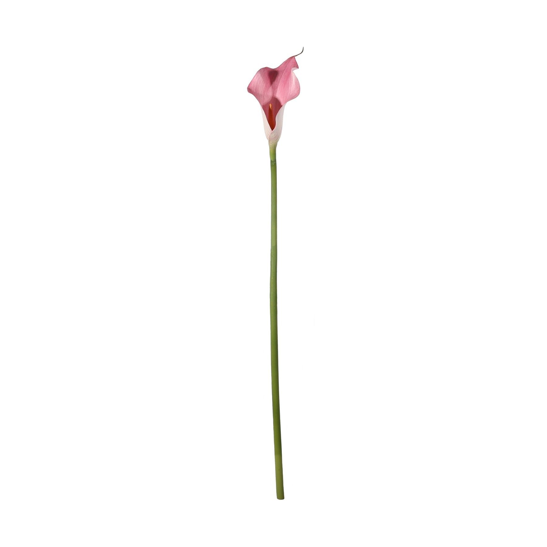 Botanica Calla Lily Small - Pink - 60cm