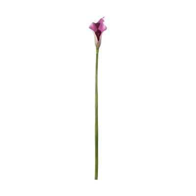 Botanica Calla Lily Small - Purple - 60cm