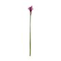 Botanica Calla Lily Small - Purple - 60cm
