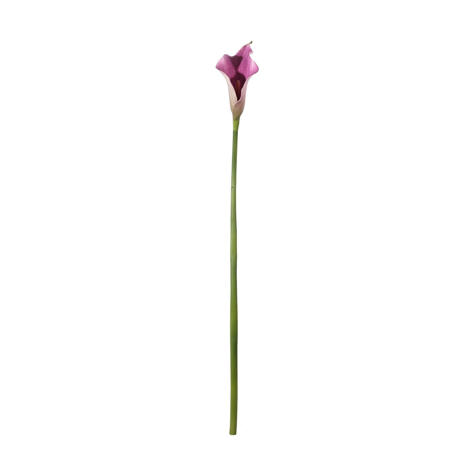 Botanica Calla Lily Small - Purple - 60cm