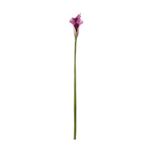 Botanica Calla Lily Small - Purple - 60cm