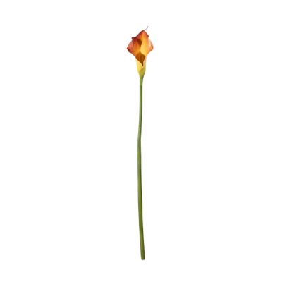 Botanica Calla Lily Small - Mango - 60cm