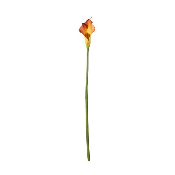 Botanica Calla Lily Small - Mango - 60cm