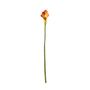 Botanica Calla Lily Small - Mango - 60cm