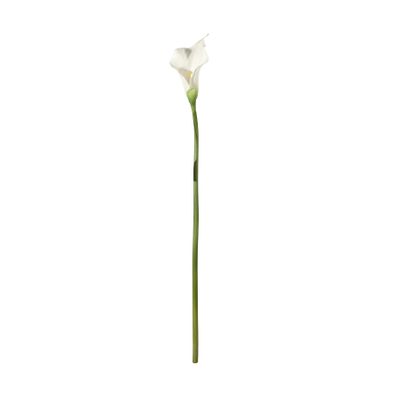 Botanica Calla Lily Small - White - 60cm