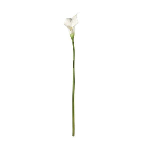 Botanica Calla Lily Small - White - 60cm