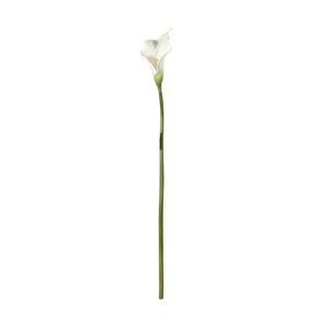 Botanica Calla Lily Small - White - 60cm