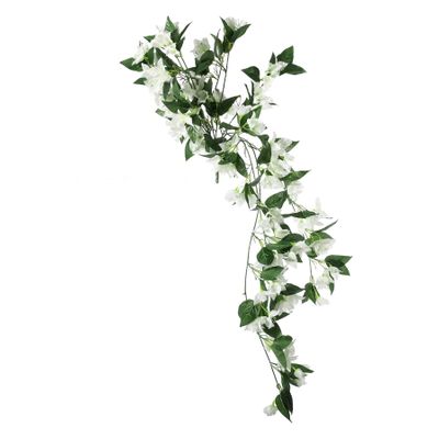 Essential Bougainvillea Bush - White