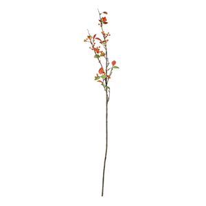 Glamis Berry Spray - Orange