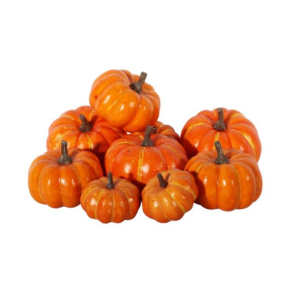 Assorted Pumpkins x 9 