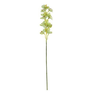 Botanica Cymbidium Orchid - Green - 76cm