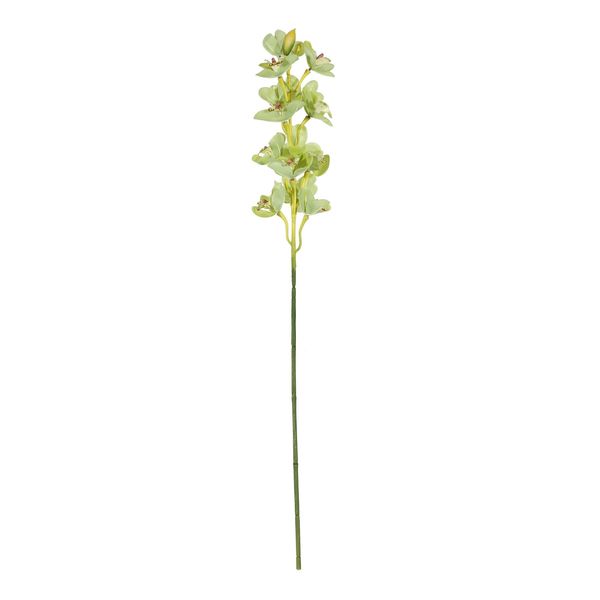 Botanica Cymbidium Orchid - Green - 76cm