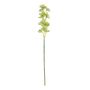 Botanica Cymbidium Orchid - Green - 76cm