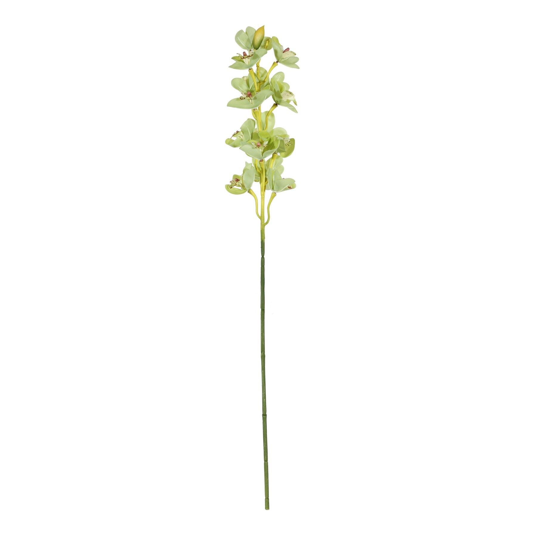 Botanica Cymbidium Orchid - Green - 76cm