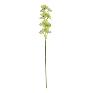 Botanica Cymbidium Orchid - Green - 76cm