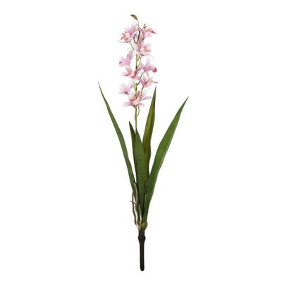 Botanica - Mini Cymbidium Plant - Pink - 45cm