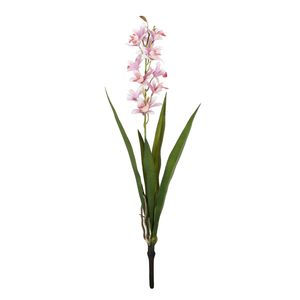 Botanica - Mini Cymbidium Plant - Pink - 45cm