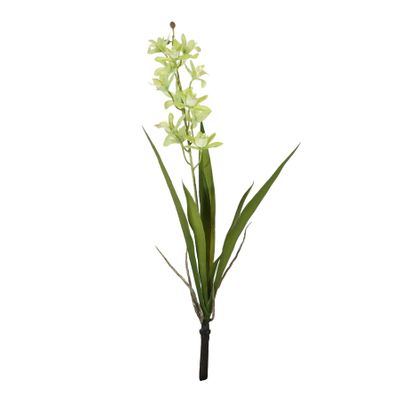Botanica - Mini Cymbidium Plant - Green - 45cm