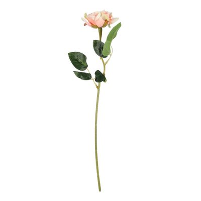 Essential  Rose - Peach