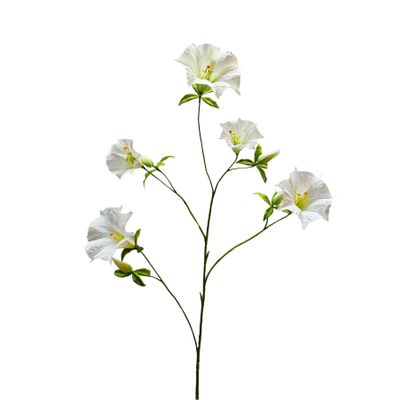 Botanica Sundaville - Cream - 113cm