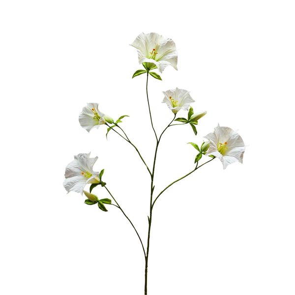 Botanica Sundaville - Cream - 113cm