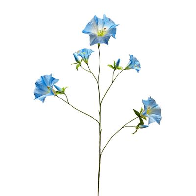 Botanica Sundaville - Light Blue - 113cm