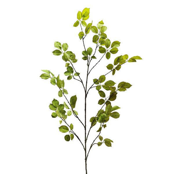 Botanica Leaf Spray Branch - 170cm