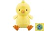 11 Inch Eco Chick