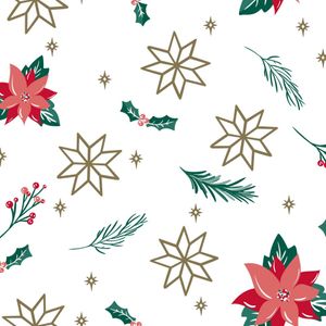 Cello Wrap (Frosted) � Poinsettia Perfection_1