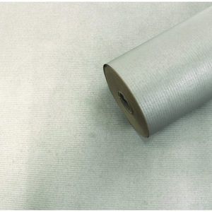 Kraft Paper  Metallic Silver_1